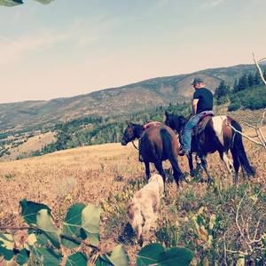 Meet your Posher, Jesse